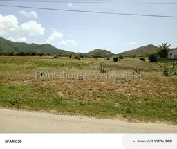 Vista 3
