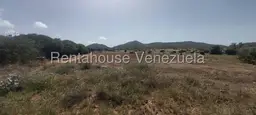 Vista 5