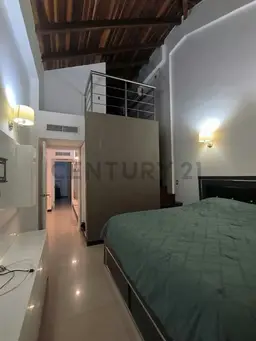 Vista 21