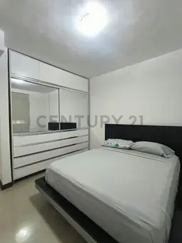 Vista 25
