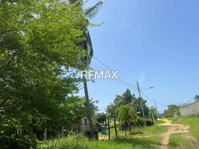 VENDE TERRENO DE 1.069,50 MTS2 KILOMETRO 60, SECTOR LOS MANGUITOS, TUCACAS. - 2