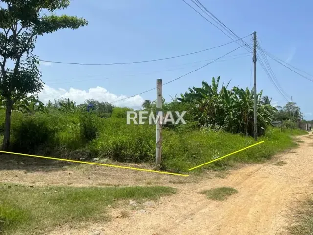 VENDE TERRENO DE 1.069,50 MTS2 KILOMETRO 60, SECTOR LOS MANGUITOS, TUCACAS. - 3