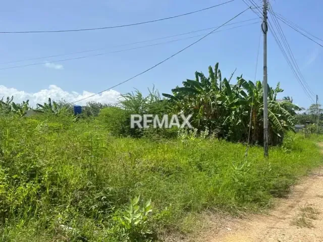 VENDE TERRENO DE 1.069,50 MTS2 KILOMETRO 60, SECTOR LOS MANGUITOS, TUCACAS. - 4