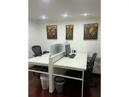 Vista 5