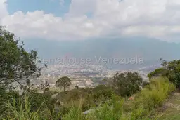 Vista 27