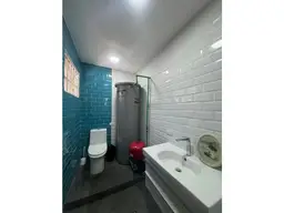 Vista 15