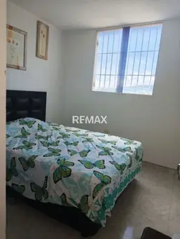 Vista 4