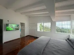 Vista 19
