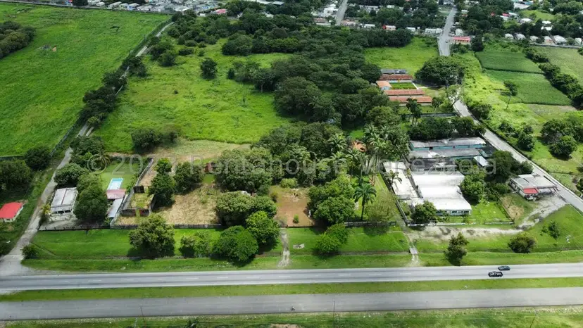 Comercial (Local Comercial) en Venta en Araure, Portuguesa