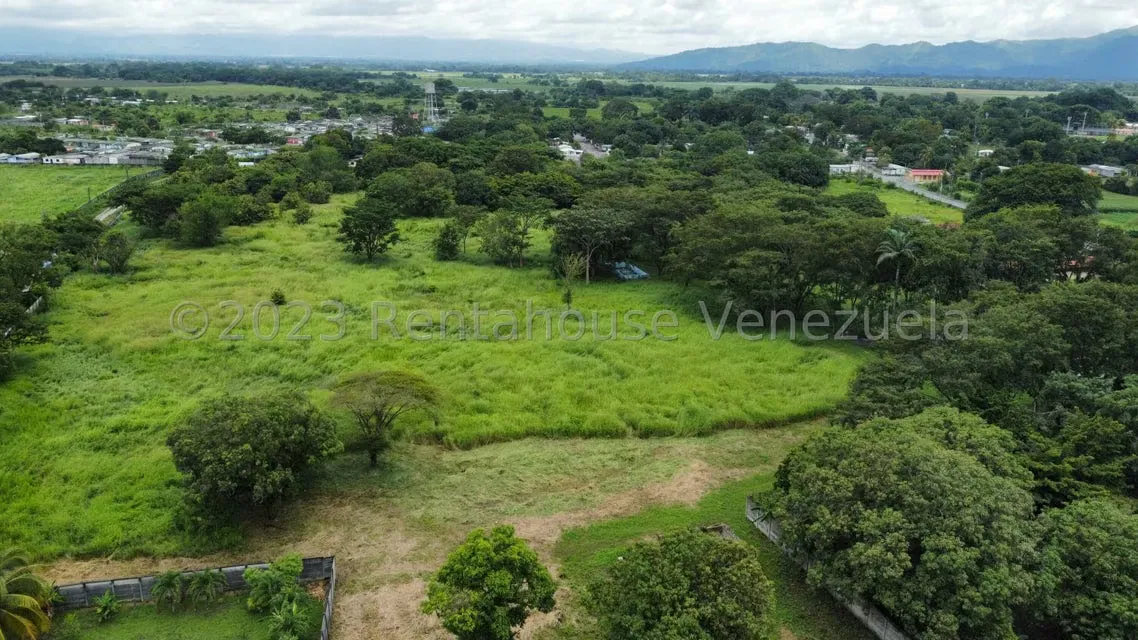 Comercial (Local Comercial) en Venta en Araure, Portuguesa - 14