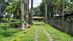 View 2