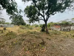 View 30