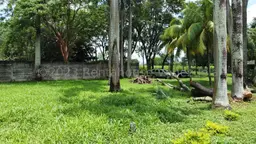 View 3