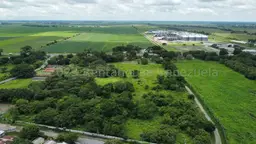 View 31