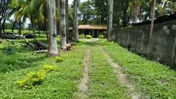 View 42