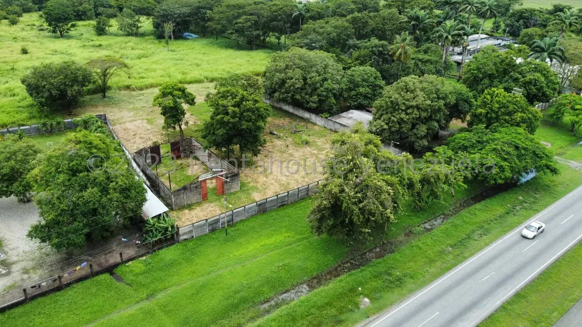 Comercial (Local Comercial) en Venta en Araure, Portuguesa - 10