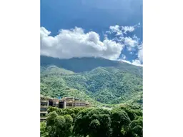 Vista 19