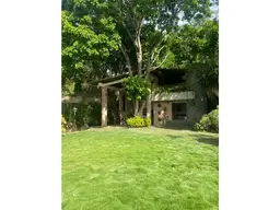View 33
