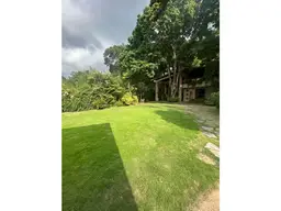View 37