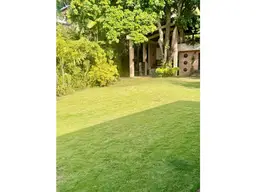 View 61