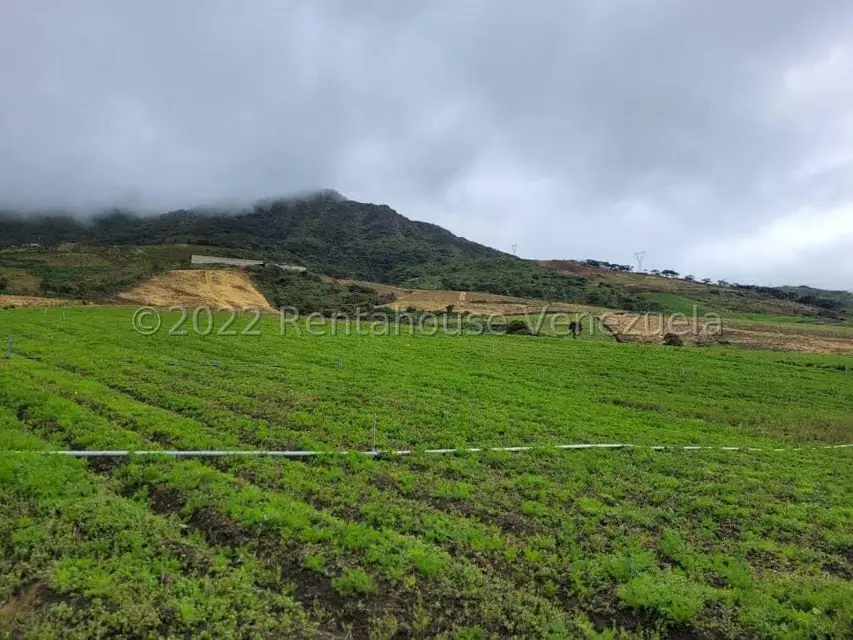 Terreno (Finca) en Venta en La Playa, Merida