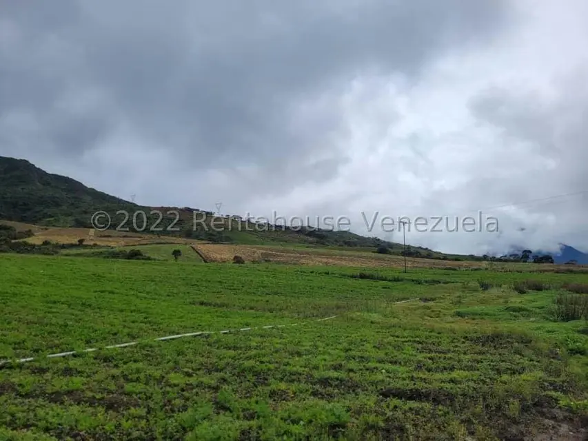 Terreno (Finca) en Venta en La Playa, Merida - 14