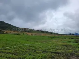 Vista 14