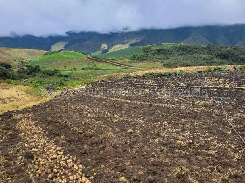 Terreno (Finca) en Venta en La Playa, Merida - 15