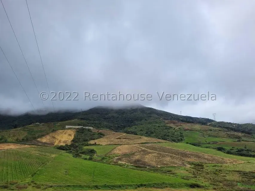 Terreno (Finca) en Venta en La Playa, Merida - 3