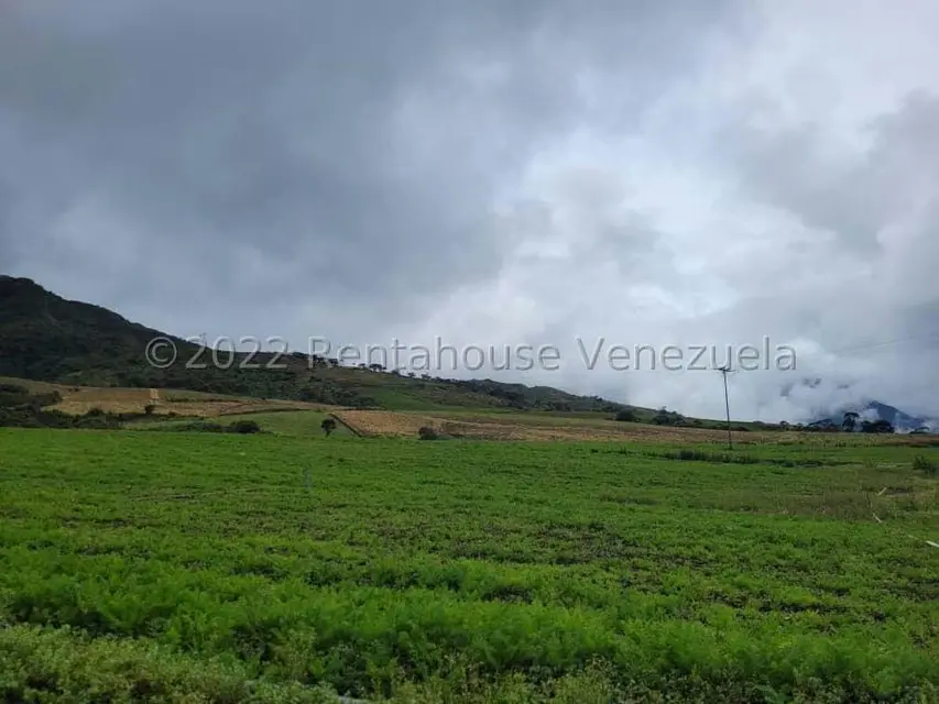 Terreno (Finca) en Venta en La Playa, Merida - 5