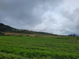 Vista 5