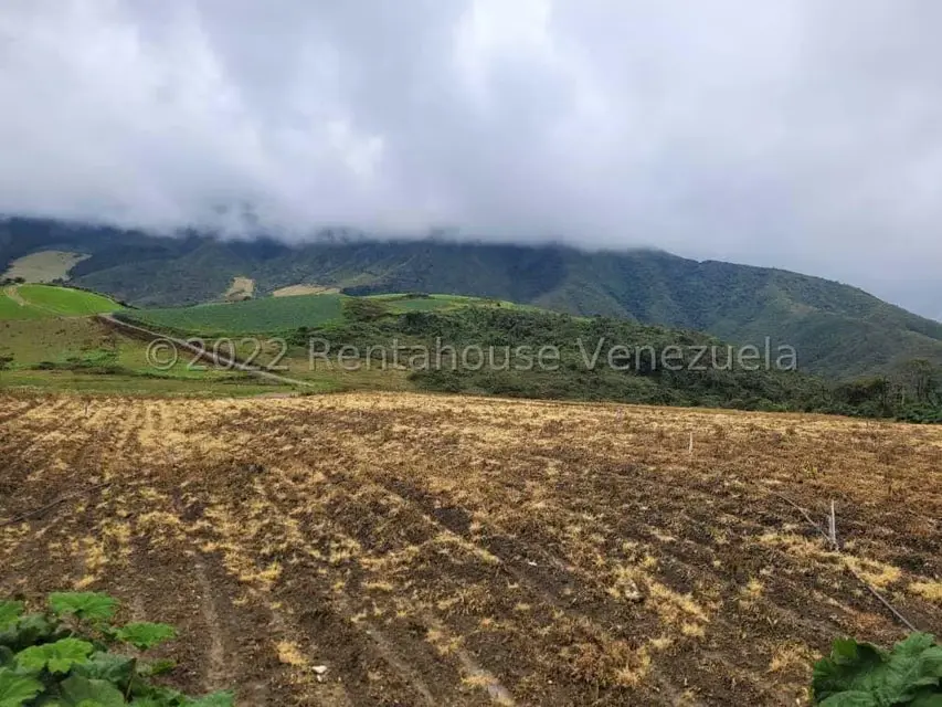 Terreno (Finca) en Venta en La Playa, Merida - 7