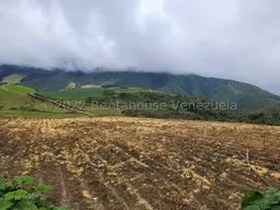 Vista 7
