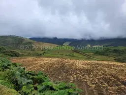 Vista 8