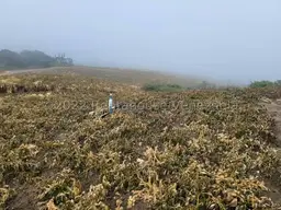 Vista 10