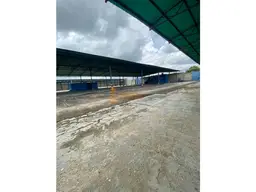 Vista 5