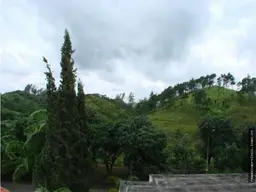 View 11
