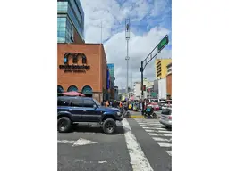 View 19