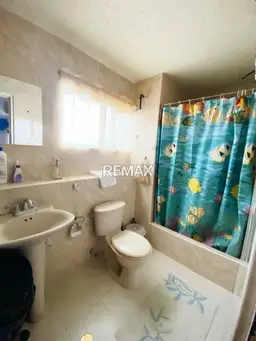 Vista 11