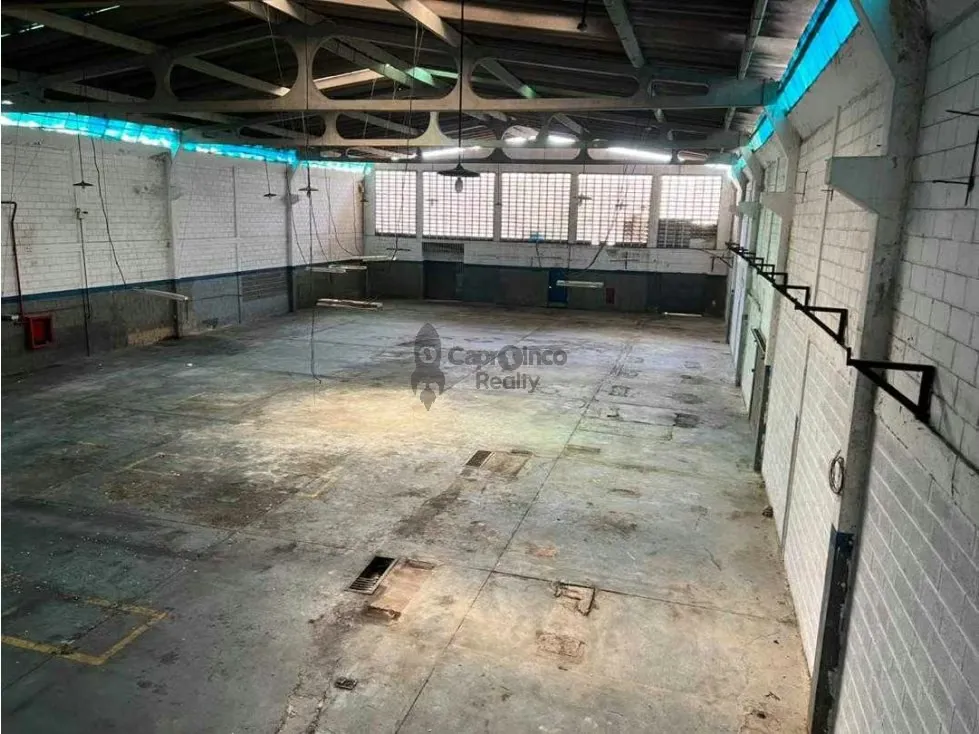 Galpon en Venta, Zona Industrial Industrial El Tigre, Flor amarillo - 3