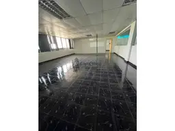 Vista 5