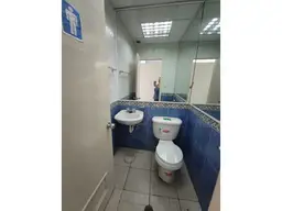 Vista 19