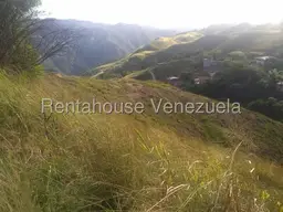 Vista 12