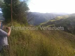 Vista 13