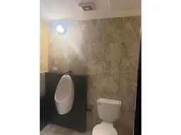 Vista 5