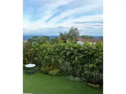 View 24