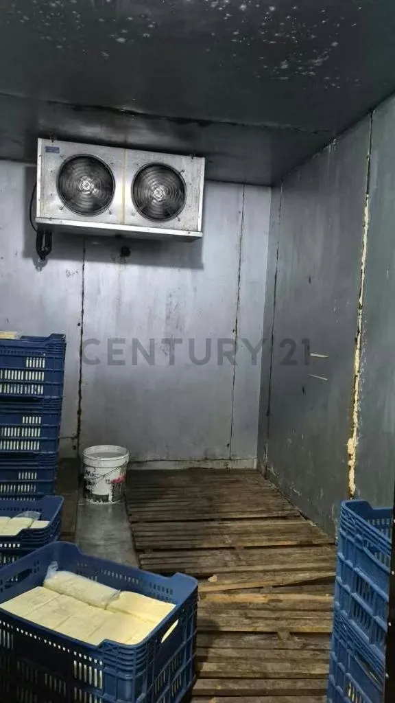 PLANTA PANIFICADORA Y ABASTO 2040m² | VALENCIA LA CANDELARIA | OPERATIVA - 17