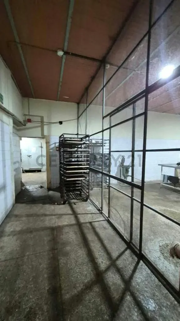 PLANTA PANIFICADORA Y ABASTO 2040m² | VALENCIA LA CANDELARIA | OPERATIVA - 25