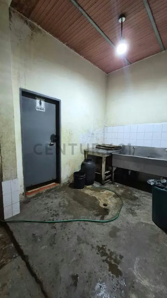 PLANTA PANIFICADORA Y ABASTO 2040m² | VALENCIA LA CANDELARIA | OPERATIVA - 26