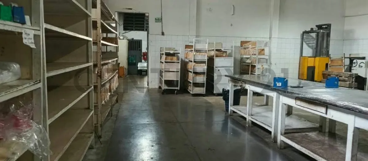 PLANTA PANIFICADORA Y ABASTO 2040m² | VALENCIA LA CANDELARIA | OPERATIVA - 55